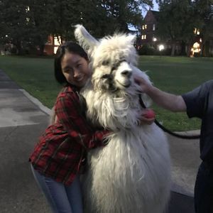 Meet your Posher, Yewon